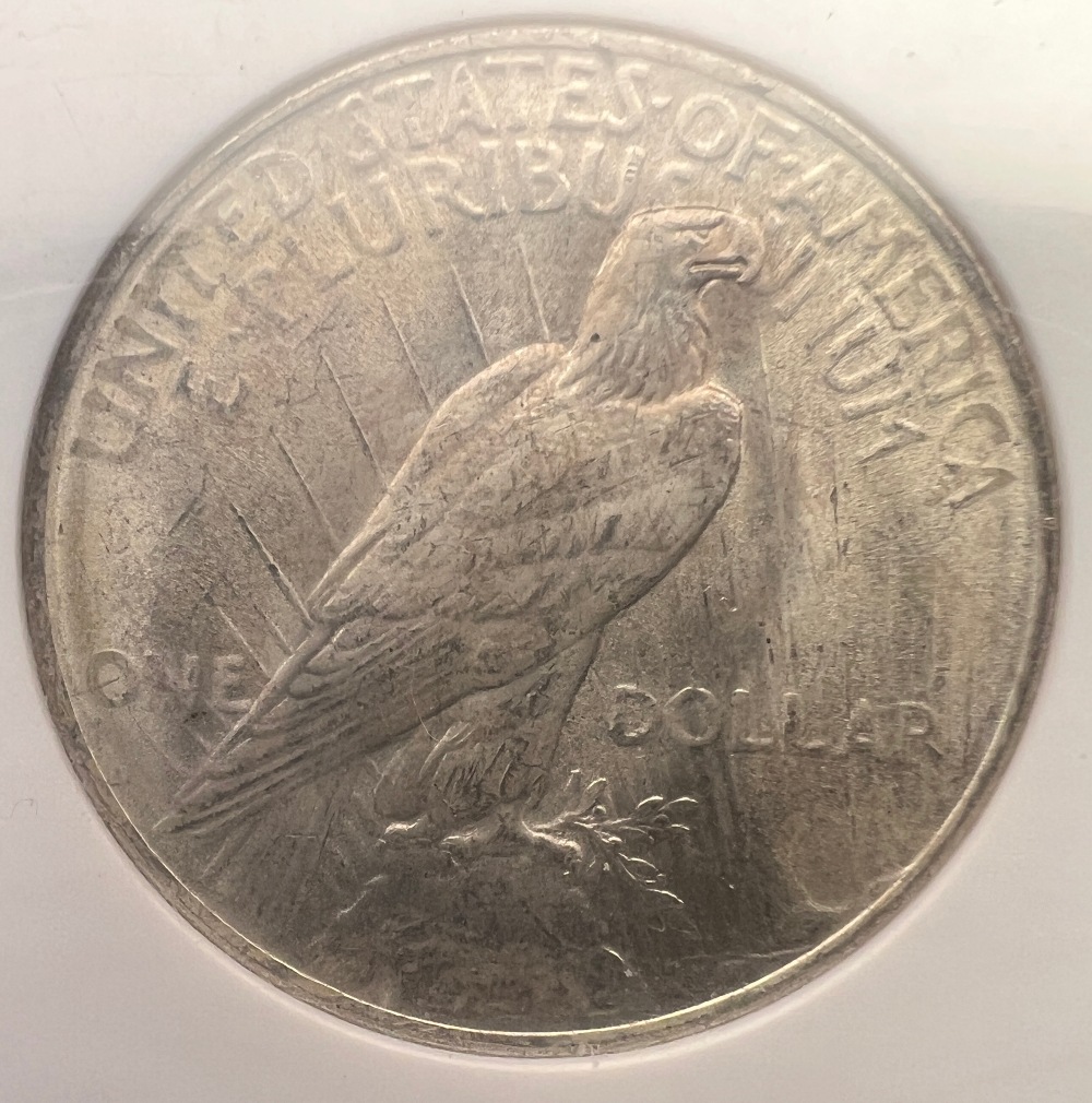 10-Days-Of-Peace-Dollars!